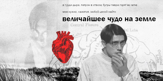 https://upforme.ru/uploads/001a/e6/ed/2/321388.png