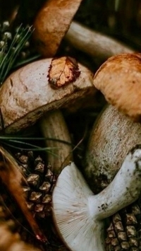 https://upforme.ru/uploads/001a/e7/a4/1159/502342.jpg