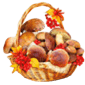 https://upforme.ru/uploads/001a/e7/a4/1159/713007.png