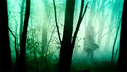https://upforme.ru/uploads/001a/e7/a4/14/645463.gif