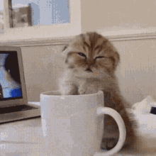 https://upforme.ru/uploads/001a/e7/a4/14/t986959.gif