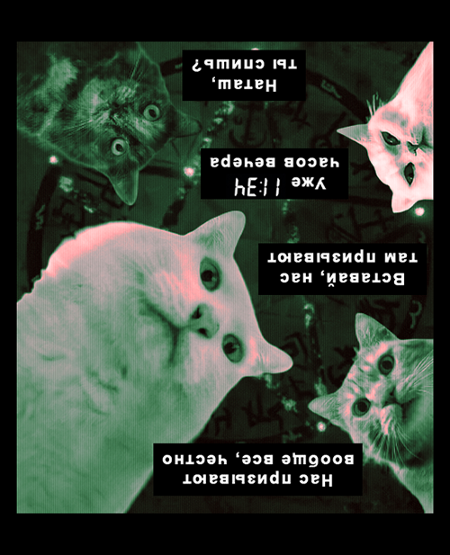 https://upforme.ru/uploads/001a/e7/a4/66/83981.png