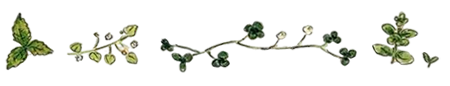 https://upforme.ru/uploads/001a/e7/a4/76/797804.png