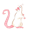 https://upforme.ru/uploads/001a/e7/a4/77/189521.png
