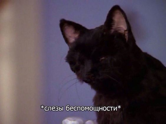 https://upforme.ru/uploads/001a/e7/a4/77/216585.jpg