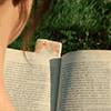 https://upforme.ru/uploads/001a/e7/a4/77/761452.gif