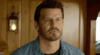 https://upforme.ru/uploads/001a/e7/a4/777/t60709.gif