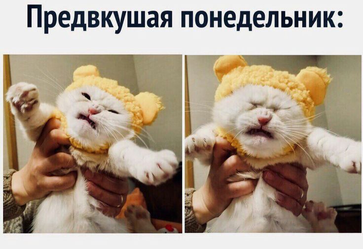 https://upforme.ru/uploads/001a/e7/a4/781/844445.jpg