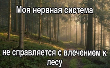 https://upforme.ru/uploads/001a/e7/a4/781/t270892.png
