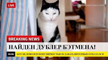 https://upforme.ru/uploads/001a/e7/a4/781/t668753.jpg