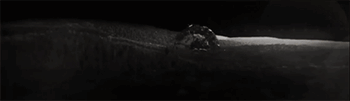 https://upforme.ru/uploads/001a/ec/77/2/237924.gif