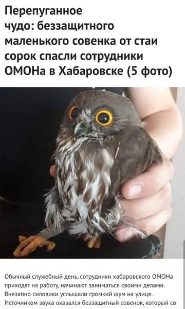 https://upforme.ru/uploads/001a/ec/77/21/t458134.jpg