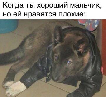 https://upforme.ru/uploads/001a/ed/4c/5/t890975.jpg