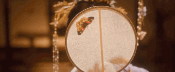 https://upforme.ru/uploads/001a/ee/da/16/t94954.gif