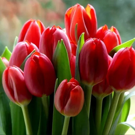 https://upforme.ru/uploads/001a/ee/da/2/t864043.jpg