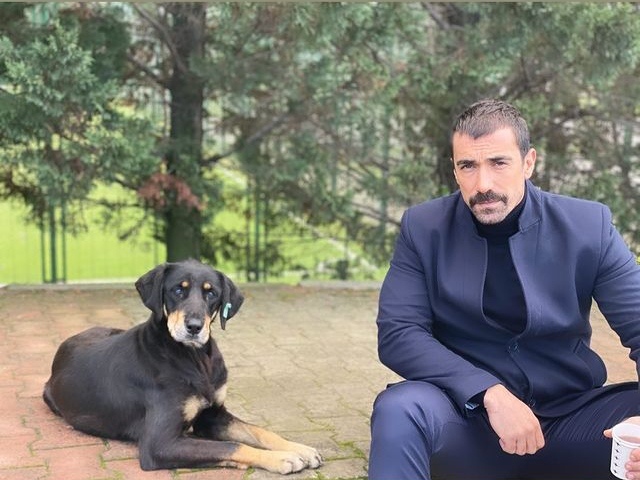 https://upforme.ru/uploads/001a/ee/da/53/694438.jpg