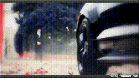 https://upforme.ru/uploads/001a/ee/da/7/t448585.gif