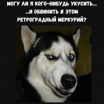https://upforme.ru/uploads/001a/f0/7d/19/t811732.jpg
