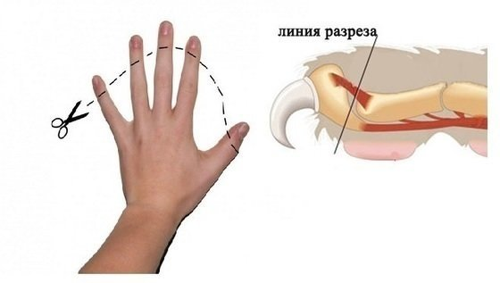 https://upforme.ru/uploads/001a/f0/7d/2/202988.png