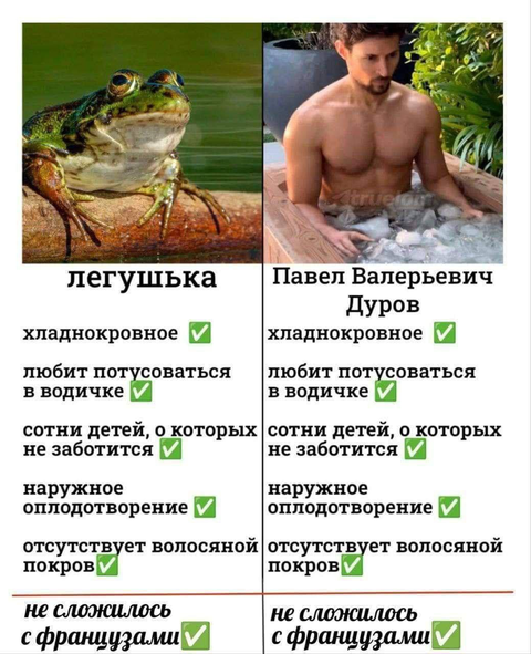 https://upforme.ru/uploads/001a/f0/7d/2/t497377.png