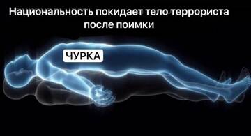 https://upforme.ru/uploads/001a/f0/7d/297/t885596.jpg
