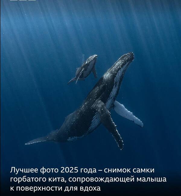https://upforme.ru/uploads/001a/f0/7d/301/t974006.jpg