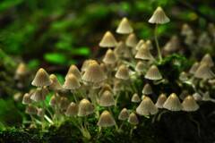 https://upforme.ru/uploads/001a/f0/7d/362/t960703.jpg
