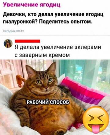 https://upforme.ru/uploads/001a/f0/7d/91/t975930.jpg