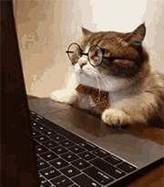 https://upforme.ru/uploads/001a/f0/c8/2/295645.gif