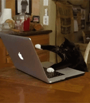 https://upforme.ru/uploads/001a/f0/c8/2/564495.gif