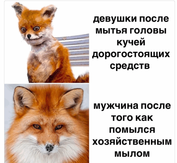 https://upforme.ru/uploads/001a/f1/c8/13/943115.png