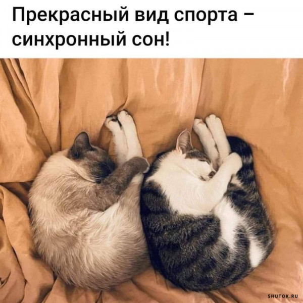 https://upforme.ru/uploads/001a/f1/c8/13/949368.jpg