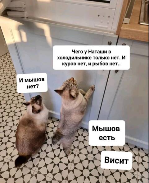 https://upforme.ru/uploads/001a/f1/c8/13/t202591.jpg