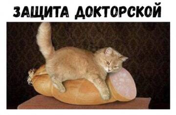 https://upforme.ru/uploads/001a/f1/c8/13/t397389.jpg