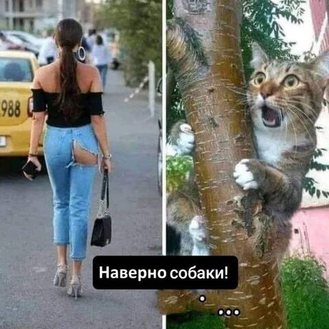 https://upforme.ru/uploads/001a/f1/c8/13/t405789.jpg