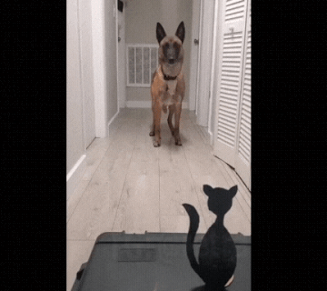 https://upforme.ru/uploads/001a/f1/c8/13/t840773.gif