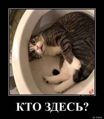https://upforme.ru/uploads/001a/f1/c8/63/t40990.jpg
