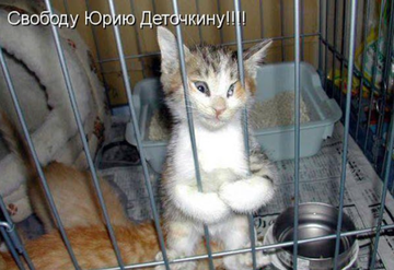 https://upforme.ru/uploads/001a/f1/c8/63/t433042.png