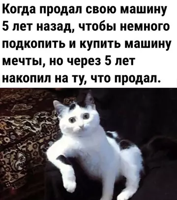 https://upforme.ru/uploads/001a/f1/c8/69/t970817.webp