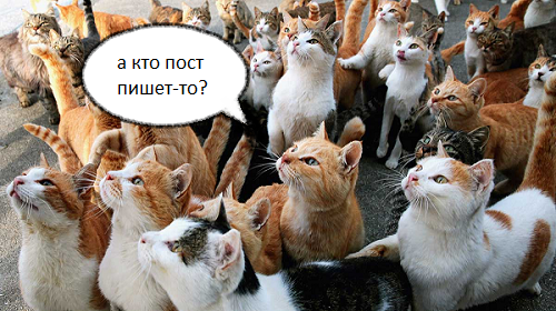 https://upforme.ru/uploads/001a/f4/24/10/333169.png