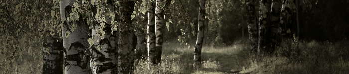 https://upforme.ru/uploads/001a/f4/24/10/610354.jpg