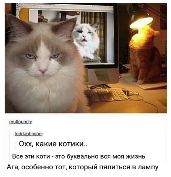 https://upforme.ru/uploads/001a/f4/24/10/t768896.jpg