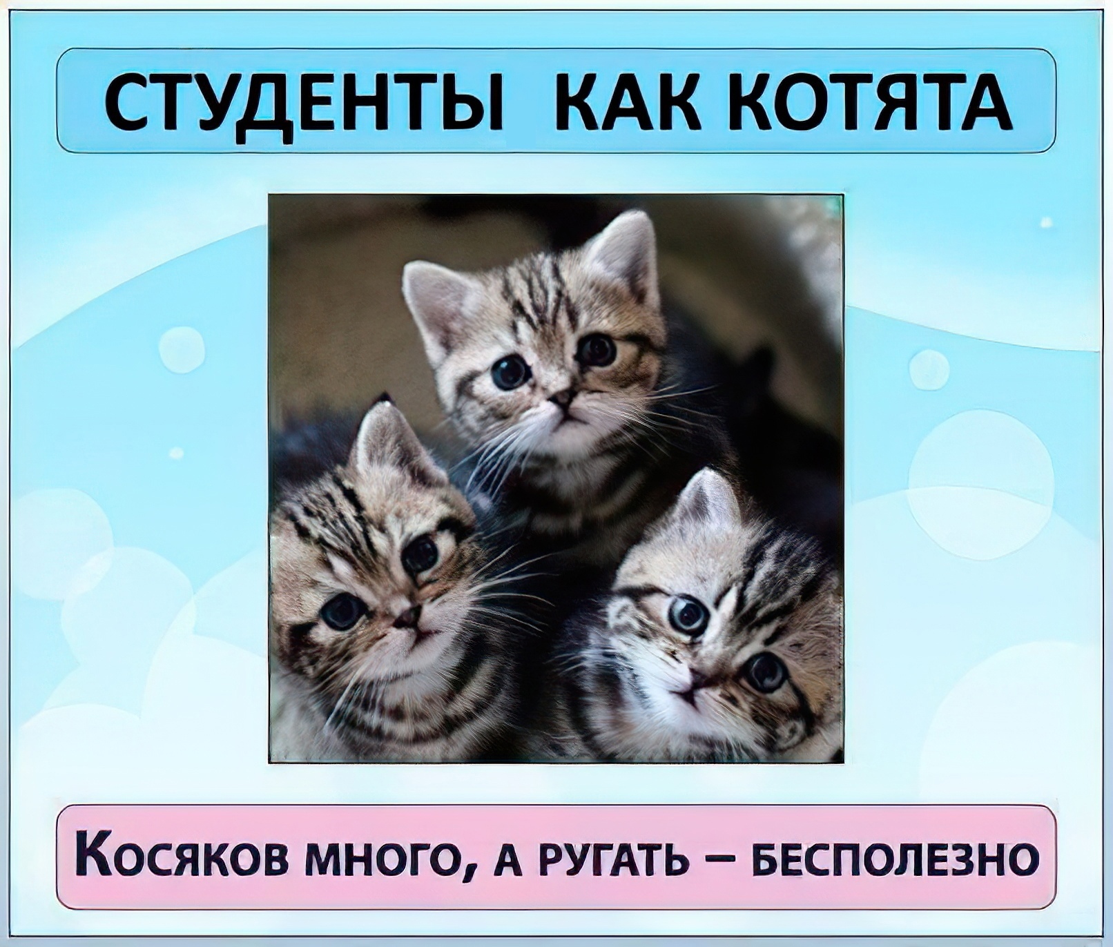https://upforme.ru/uploads/001a/f4/24/2/391115.jpg
