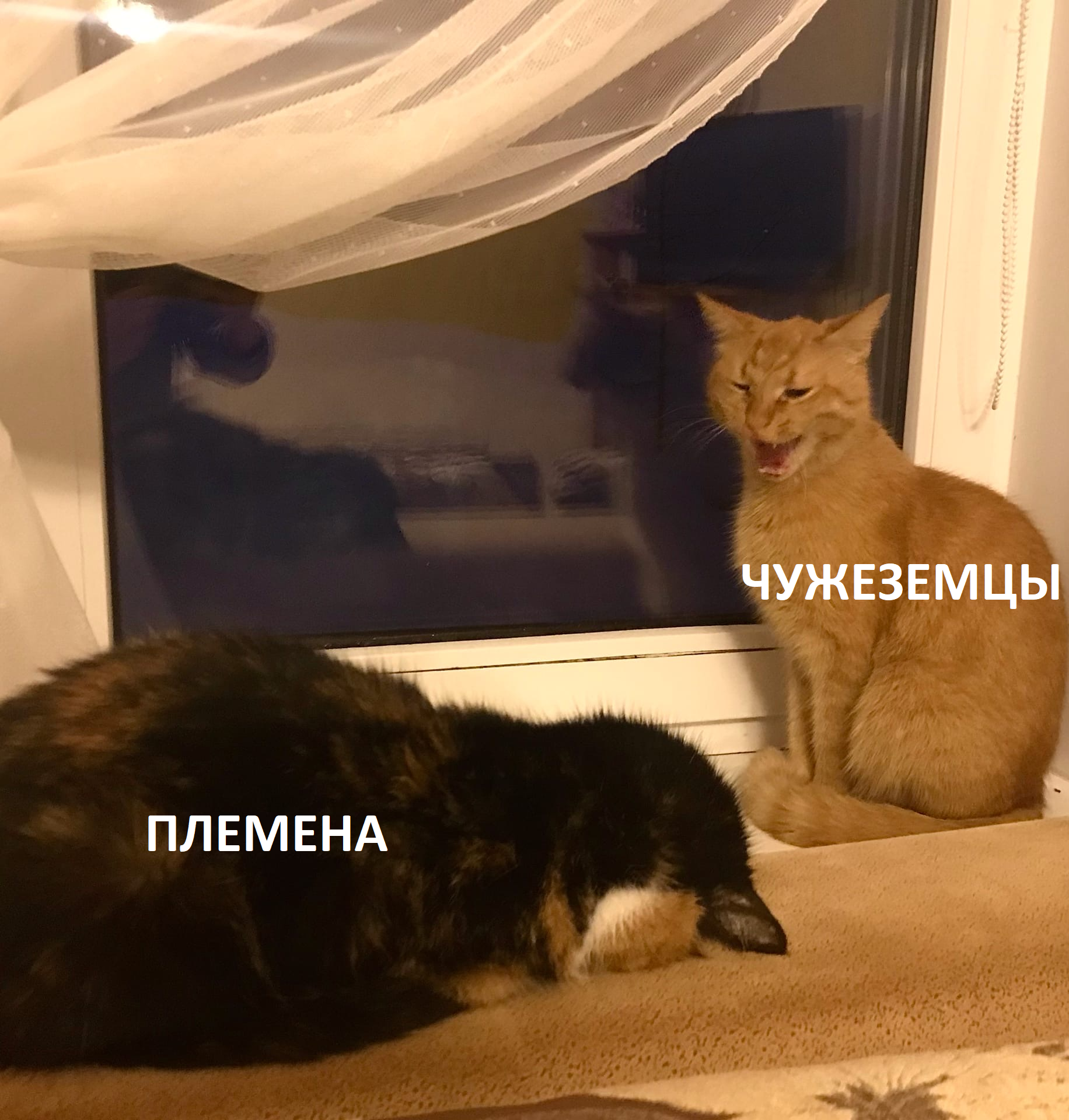 https://upforme.ru/uploads/001a/f4/24/2/579461.png