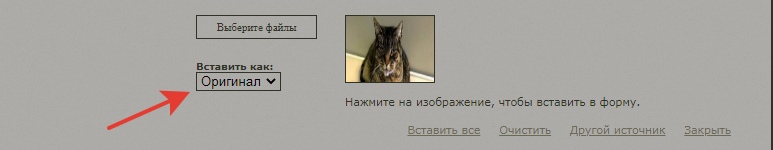 https://upforme.ru/uploads/001a/f4/24/254/964576.jpg