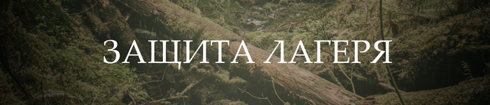 https://upforme.ru/uploads/001a/f4/24/274/344069.png