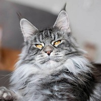 https://upforme.ru/uploads/001a/f4/24/281/t150814.jpg