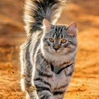 https://upforme.ru/uploads/001a/f4/24/281/t632688.jpg