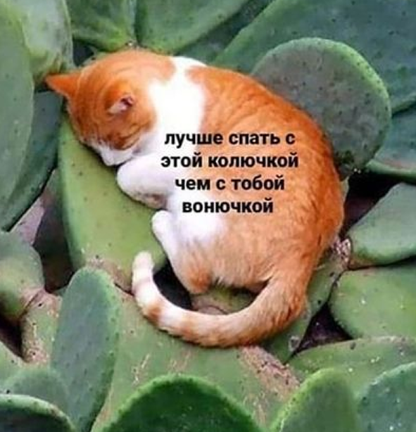 https://upforme.ru/uploads/001a/f4/24/352/280192.png