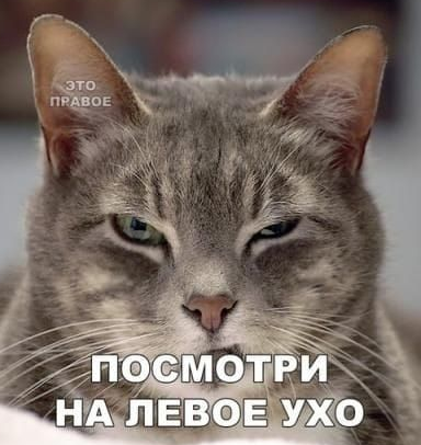 https://upforme.ru/uploads/001a/f4/24/352/617084.png
